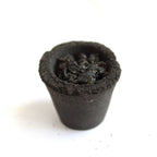 Cutie cu 12 Cupe din Rășină - Trei Regi