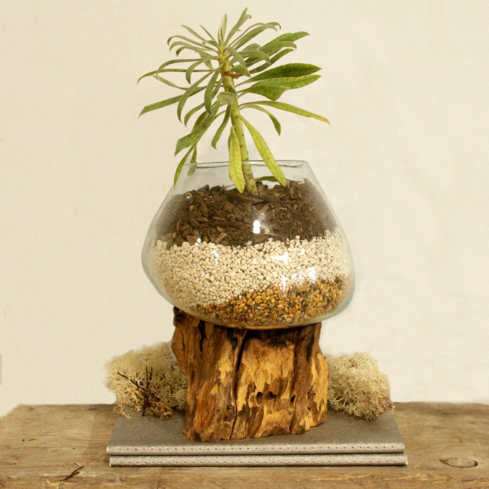 Sticlă Topită pe Lemn - Bol Mare