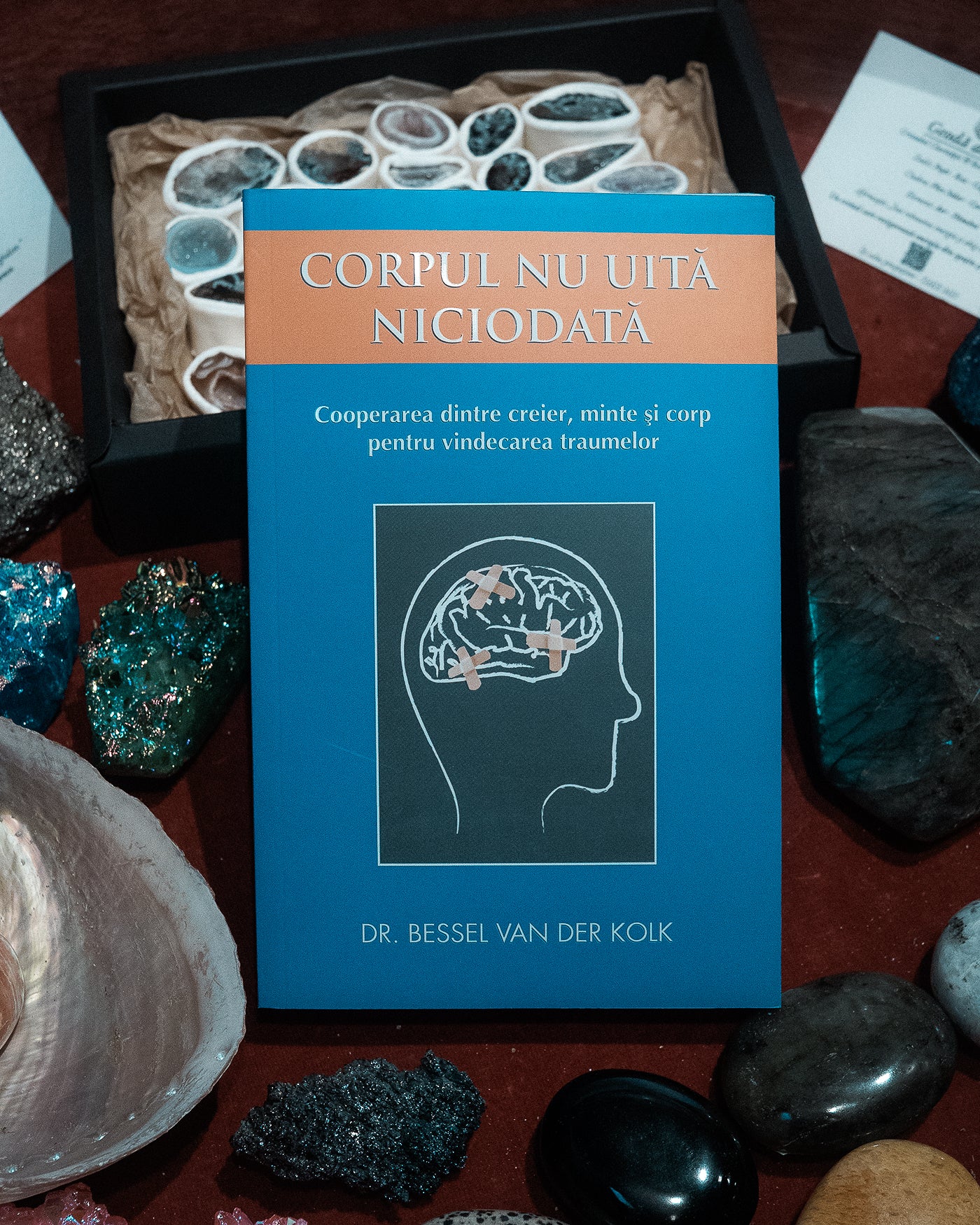Corpul nu uită niciodată – Bessel van der Kolk