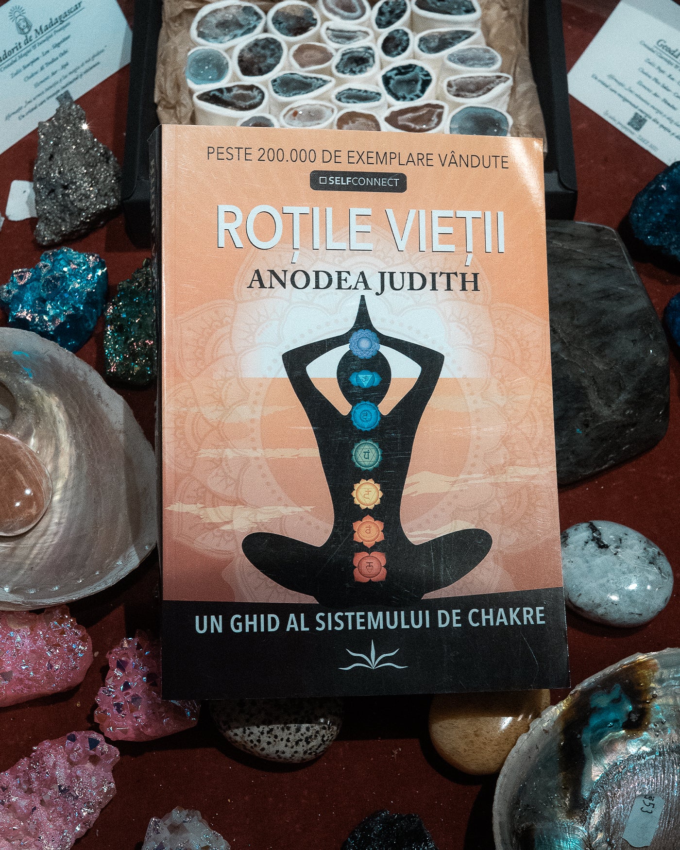 Roțile vieții – Anodea Judith