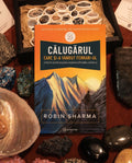 Călugărul care și-a vândut Ferrari-ul – Robin Sharma
