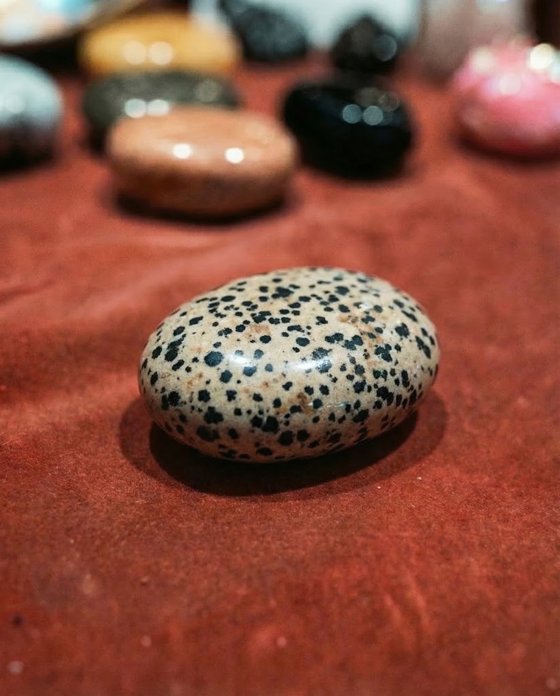 Piatră Dalmatian Jasper