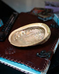 Scoică Abalone