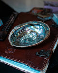 Scoică Abalone Verde