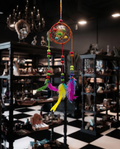Dreamcatcher curcubeu